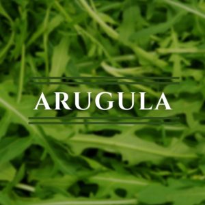 Arugula