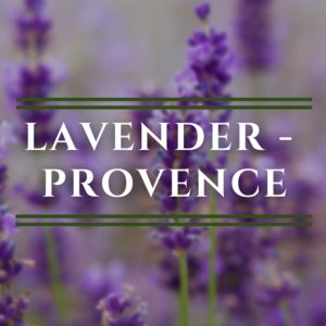 Lavendar, Provence