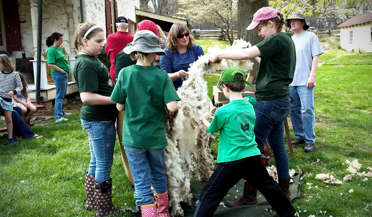 Sheering---kids-adults-1200x700