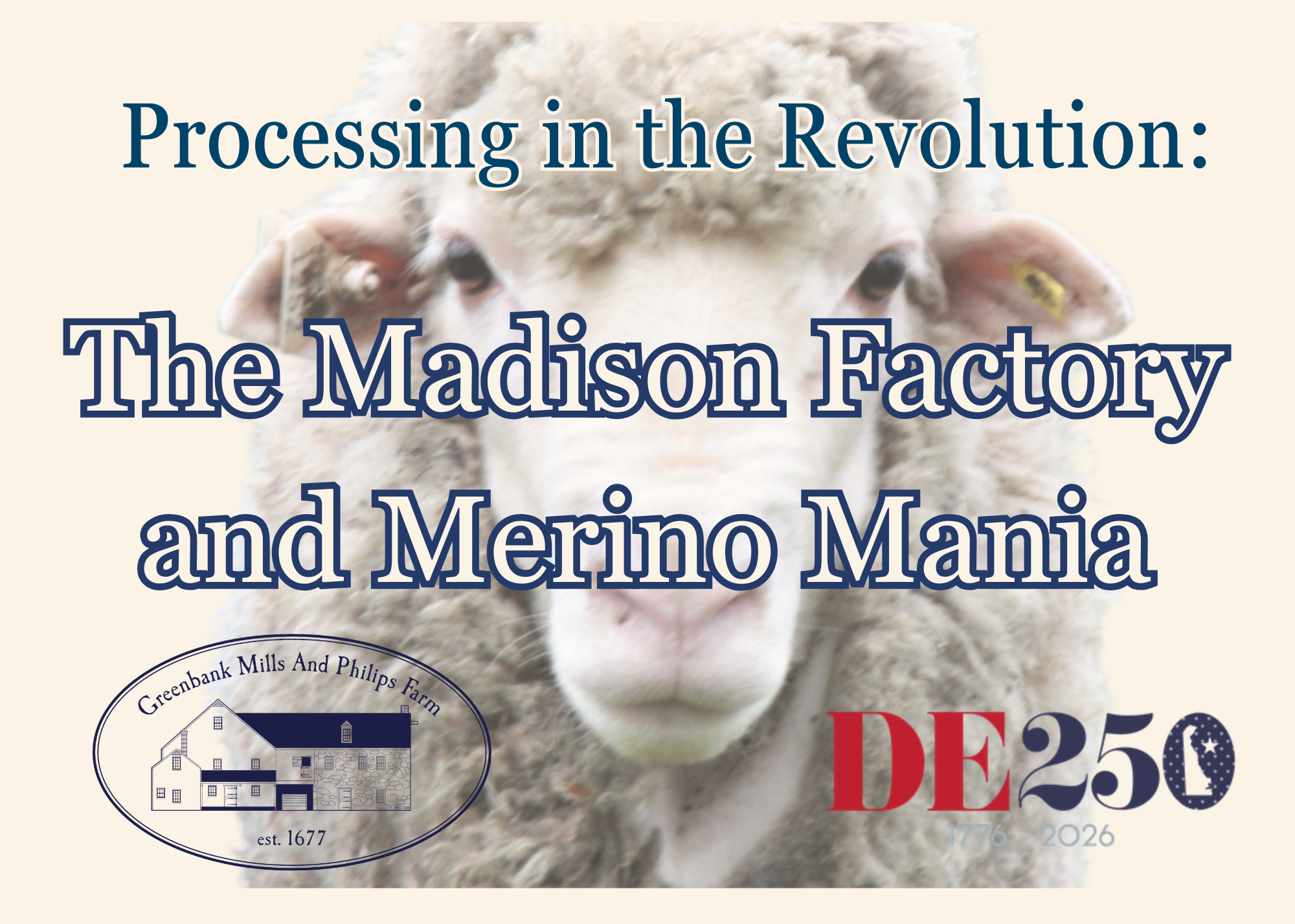 The Madison Factory and Merino Mania